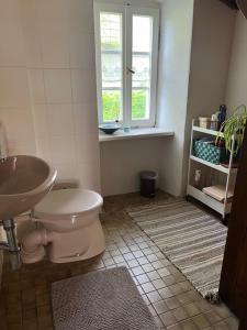 uma casa de banho com um WC, um lavatório e uma janela em Zimmer auf dem Scheuerhof em Wittlich