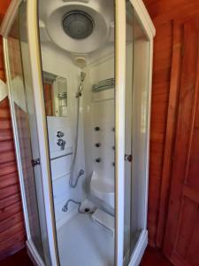 uma casa de banho com um chuveiro e um WC. em Vila Riki em Borsec
