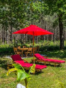 - un groupe de chaises rouges et une table avec un parasol dans l'établissement Hacienda de la Canopée avec piscine chauffée au sel, à Hourtin