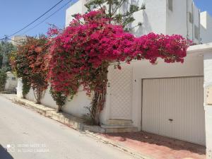 a bunch of pink flowers on the side of a building at Villa Chic Garden & Parking -10 mn Airport in Ariana