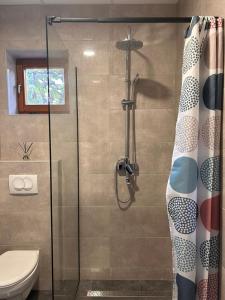 a bathroom with a glass shower with a toilet at Apartman Daisy in Slatine