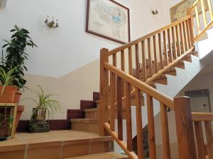 a staircase in a house with potted plants at Casa sobre el mar 10 personas in Mutriku +9 photos