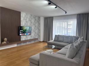 a living room with a couch and a tv at 365 Apartments in Bucharest in Bucharest