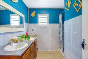 a bathroom with a sink and a shower at Terre des îles - Grande Anse - lodges avec piscines privées in Petite Île