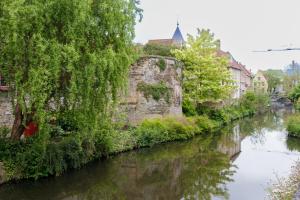 Příroda nedaleko bed and breakfast