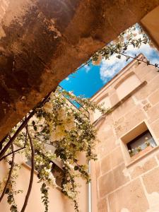 a tree with white flowers in front of a building at Atrium Suites Mallorca in Porreres