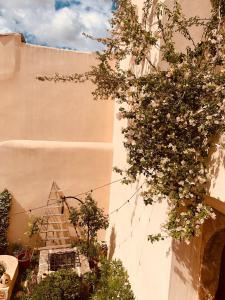 Fotografie z fotogalerie ubytování Atrium Suites Mallorca v destinaci Porreres