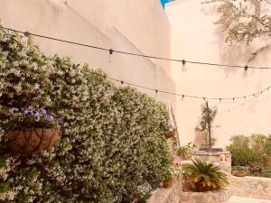 Fotografie z fotogalerie ubytování Atrium Suites Mallorca v destinaci Porreres
