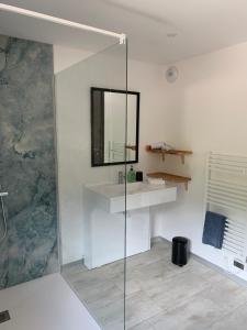 y baño con ducha, lavabo y espejo. en Gîte pour 4 personnes - Le Grand Valtin, à 2 pas de Xonrupt, en Ban-sur-Meurthe-Clefcy