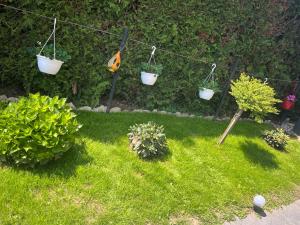 Zahrada ubytování Kiscsillag Apartman