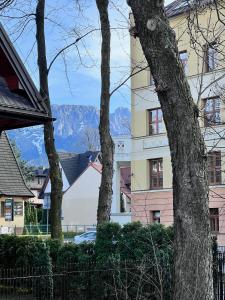 a group of trees in front of a building at Willa Jasna Apartamenty centrum Zakopane in Zakopane