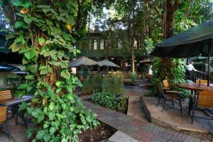 un patio al aire libre con mesas, sillas y plantas en HOTEL NOKRAS (K) LIMITED, en Murangʼa