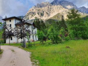Príroda v okolí apartmánu