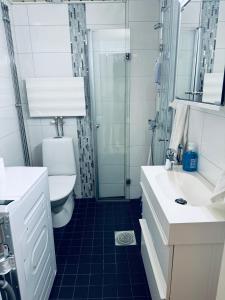 La salle de bains est pourvue de toilettes, d'un lavabo et d'une douche. dans l'établissement Real deal apartments Tampere, à Tampere