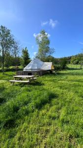 ein Zelt inmitten eines Grasfeldes in der Unterkunft Grange de Lesse in Libin