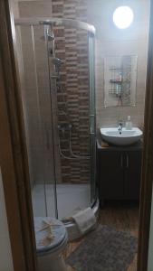 een badkamer met een douche, een toilet en een wastafel bij Panel Hause Kazincbarcika in Kazincbarcika