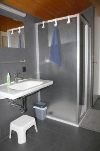 a bathroom with a shower and a sink and a toilet at Ferienwohnung Dürrenroth in Dürrenroth