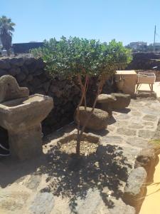 Fotografie z fotogalerie ubytování Scialu & Riscialu v destinaci Pantelleria