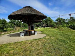 a picnic table under a large umbrella in a field at Cottage Studio in Borzęcin Duży +10 photos