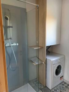 a shower with a washing machine in a bathroom at Maison de Kermouster, juste avant le Paradis in Lézardrieux