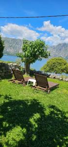 twee stoelen en een tafel in een veld met een boom bij Apartments Popovic in Kotor