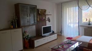 una sala de estar con TV en un armario en Wohnung in Bad Kissingen, en Bad Kissingen