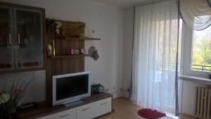sala de estar con TV en un tocador con ventana en Wohnung in Bad Kissingen, en Bad Kissingen