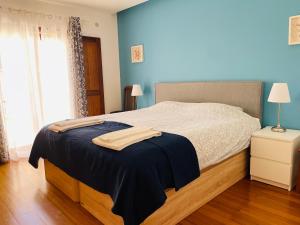 萨格里什Casa da Bélgica的卧室里有一张床，墙壁是蓝色的