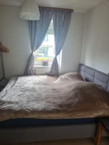 Кровать или кровати в номере Nigelnagelneu Dachgeschoss