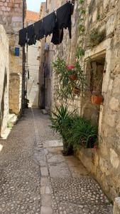 un vicolo con piante e una linea di vestiti su un edificio di Apartments Abjanic a Dubrovnik