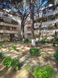 a courtyard with trees and plants in front of a building at Golem Rajmonda's House in Golem