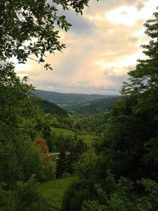 a view of a valley from a hill with trees at Wypoczynek u Agnieszki in Ochotnica Górna