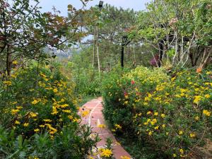 einen Garten mit gelben Blumen und einem Gehweg in der Unterkunft Romantic house 2 on a pine hill Dalat in Da Lat