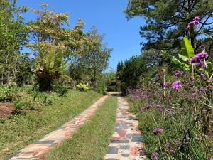 a brick path in a garden with purple flowers at Romantic house 2 on a pine hill Dalat in Da Lat