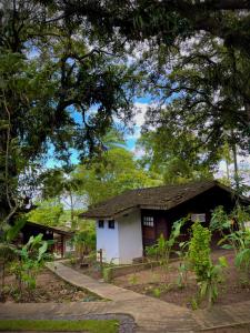 a small house in a forest with trees at Pousada Coco Dendê in Ilha de Boipeba