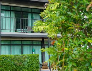 an office building with green windows and a tree at Ibiza Phi Phi in Phi Phi Don