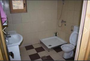 Cottage Dolovi في نيكشيتش: حمام مع مرحاض ومغسلة