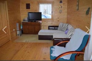 Cottage Dolovi في نيكشيتش: غرفة معيشة مع أريكة وتلفزيون