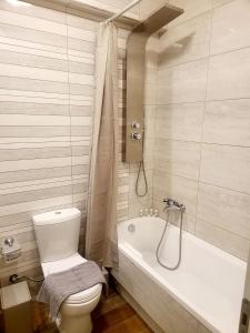 a bathroom with a toilet and a bath tub at Platanakia Houses in Ioannina