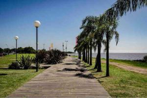 un chemin en bois avec des palmiers sur la plage dans l'établissement Cómodo apartamento frente Quinta Presidencial, à Florida