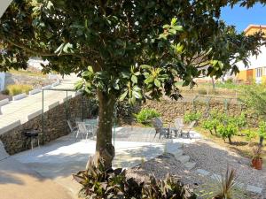 un albero in un giardino con sedie e tavolo di Villa Samaritana - Casa da Vinha a Vila Marim