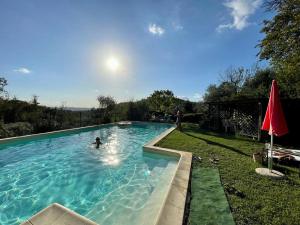 een zwembad met een persoon in het water bij Villa delle Croci in Scandicci