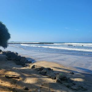 a sandy beach with a palm tree and the ocean at Quin Villa in Katukurunda-Kalutara