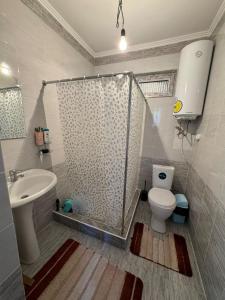 ein Bad mit einer Dusche, einem WC und einem Waschbecken in der Unterkunft Ай хаус in Tscholponata