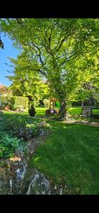 Vonkajšia záhrada v ubytovaní Füred Deluxe Garden Apartment