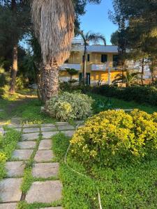a stone path in a garden with a palm tree at Villa Lu in Porto Cesareo