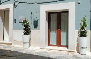 a front door of a house with two potted plants at LianHome b&b "Volte" in Lucera