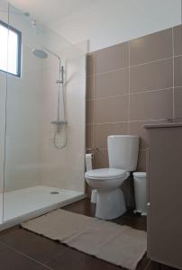ein Bad mit einem WC, einer Dusche und einem Waschbecken in der Unterkunft Villa Reis Sao Goncalo in Funchal