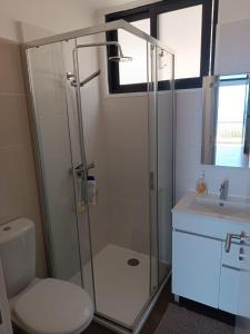 ein Bad mit einer Dusche, einem WC und einem Waschbecken in der Unterkunft Villa Reis Sao Goncalo in Funchal