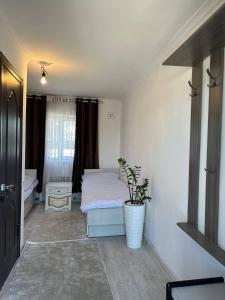 sypialnia z łóżkiem i doniczką w obiekcie Hostel Azamat w mieście Alamüdün